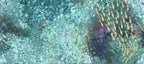 FISH VORTEX LE COSTE