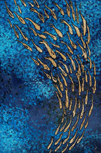 FISH VORTEX MARINE - Alessandro Vinci - Quadri Su Commissione
